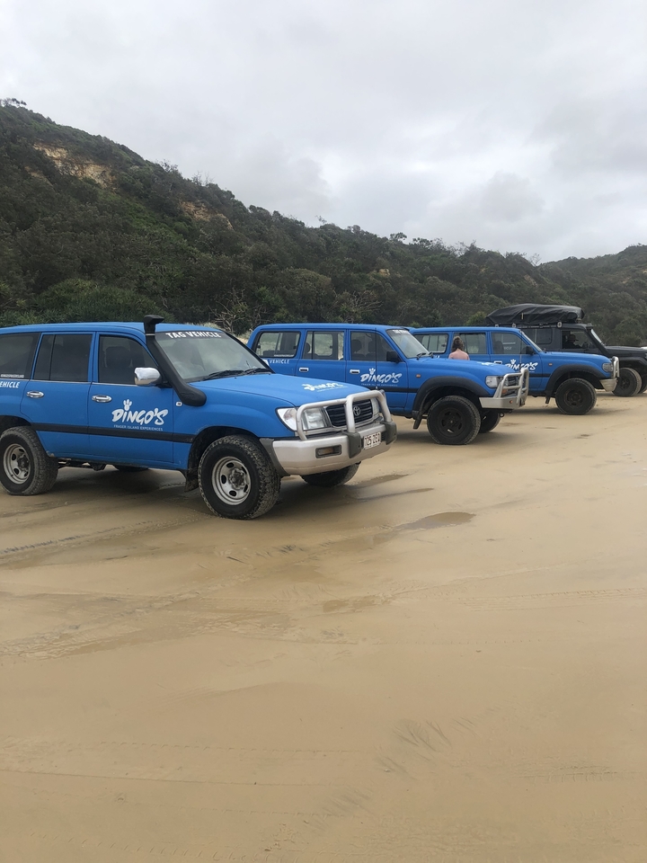 Four blue vehicles (Dingos) parked on a sandy beach.