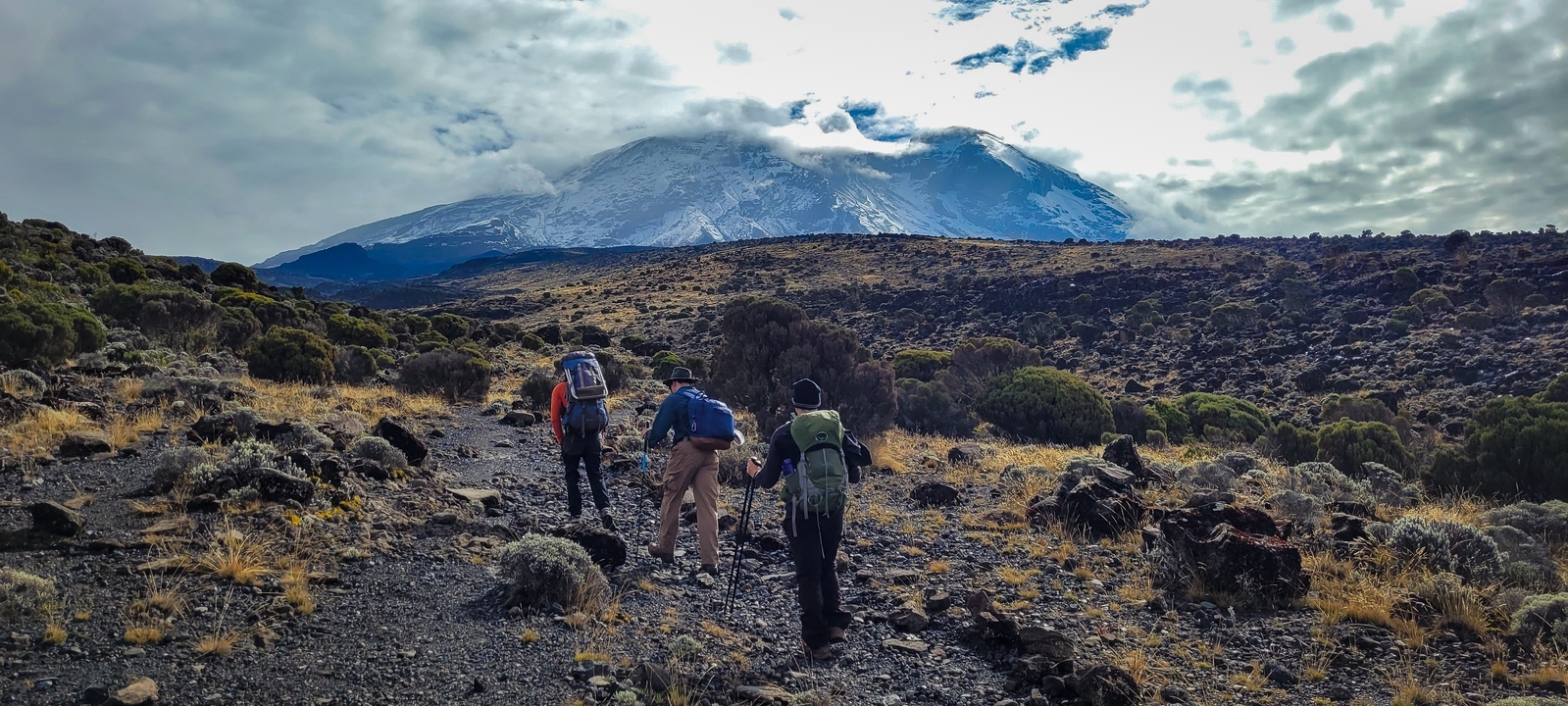Randonneurs en marche avec une montagne pittoresque en arrière-plan.