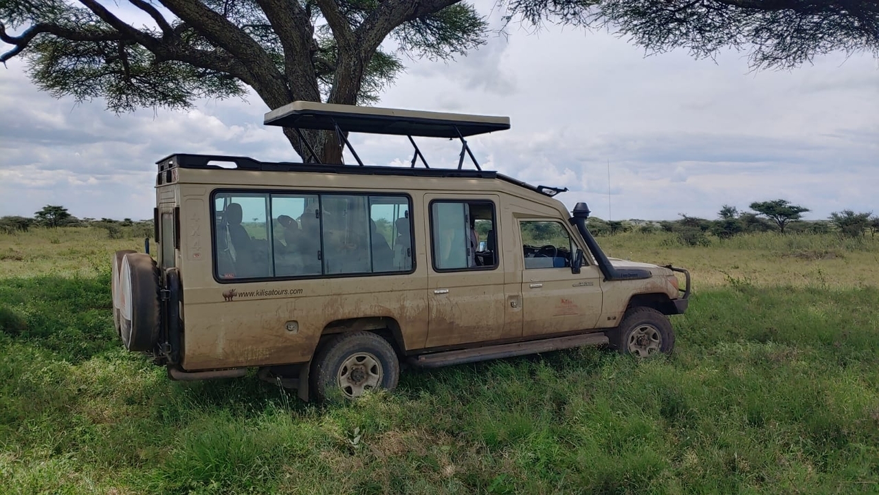 Véhicule de safari garé sous un arbre dans une zone herbeuse.