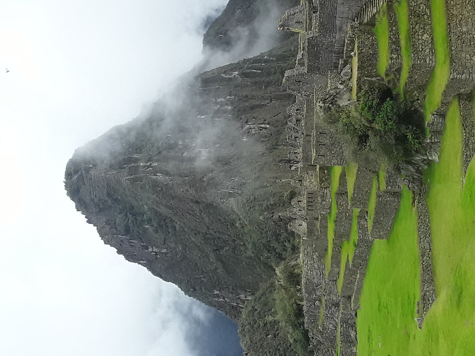 Terraced ruins of Machu Picchu rise toward a fog-shrouded peak with bright green lawns