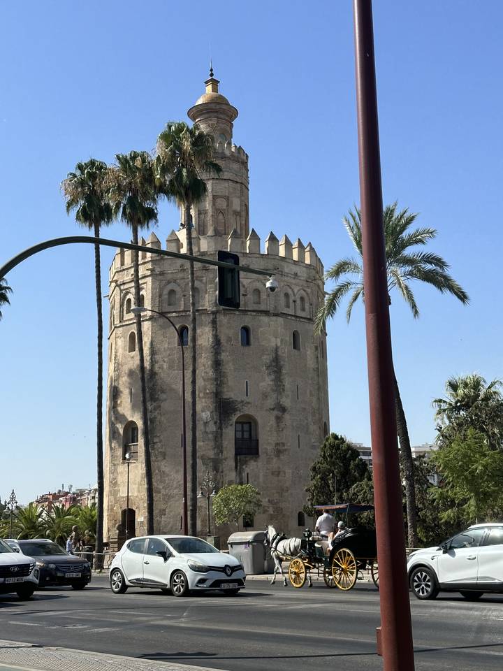 Historical stone building with palm trees and horse carriages.