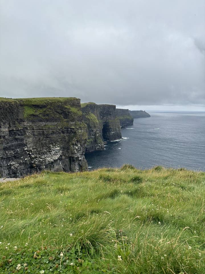 Falaises surplombant l'océan avec une herbe luxuriante.