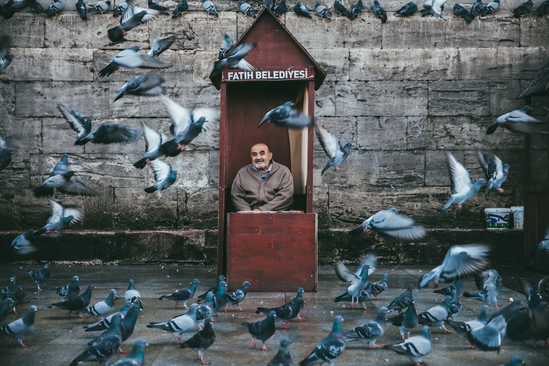 Man sitting in a booth with pigeons flying around.