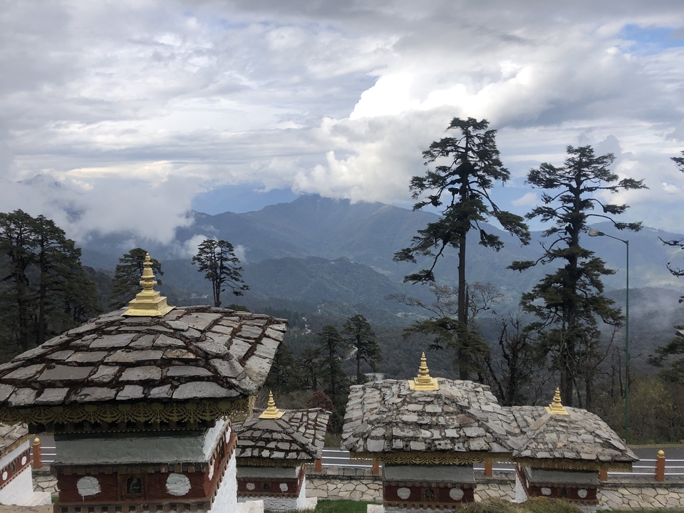 Mountain panorama with misty valleys framed by tall pine trees and stone chortens topped with golden spires.