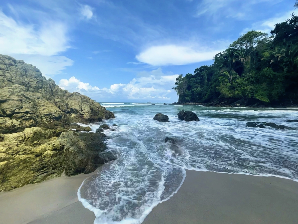 Vue panoramique d'une plage avec des vagues et de la végétation.
