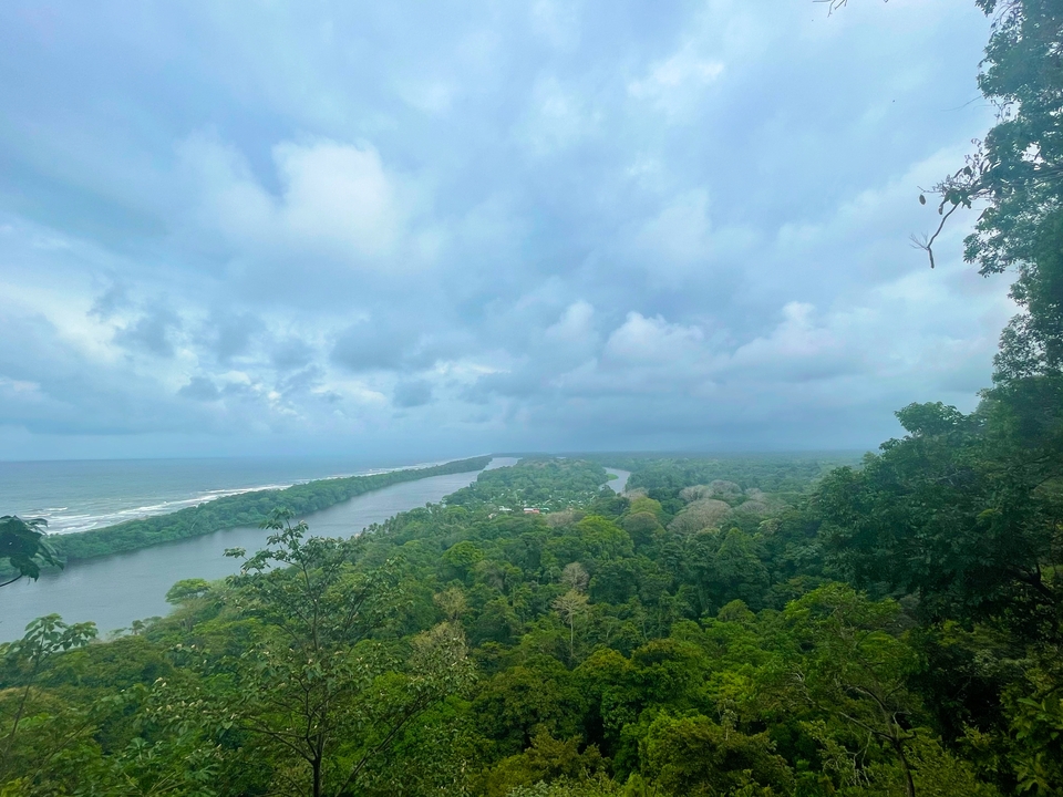 Vue aérienne d'une rivière et d'une forêt menant à la mer.