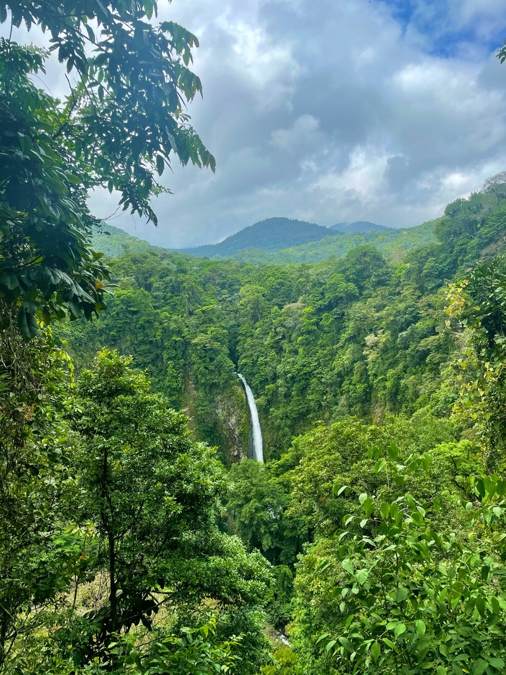 Belle cascade dans un cadre forestier luxuriant.