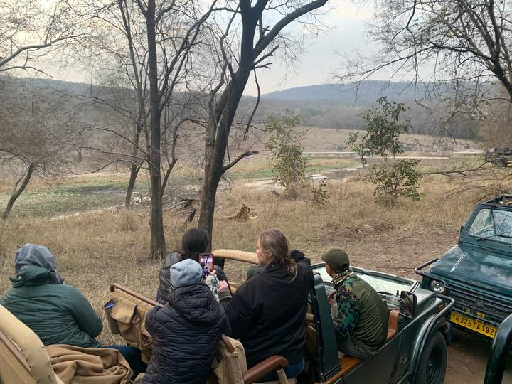 Vue à l'envers d'un safari en forêt, des gens dans des véhicules.