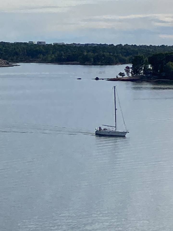 Bateau sur une grande étendue d'eau avec des arbres sur le rivage.