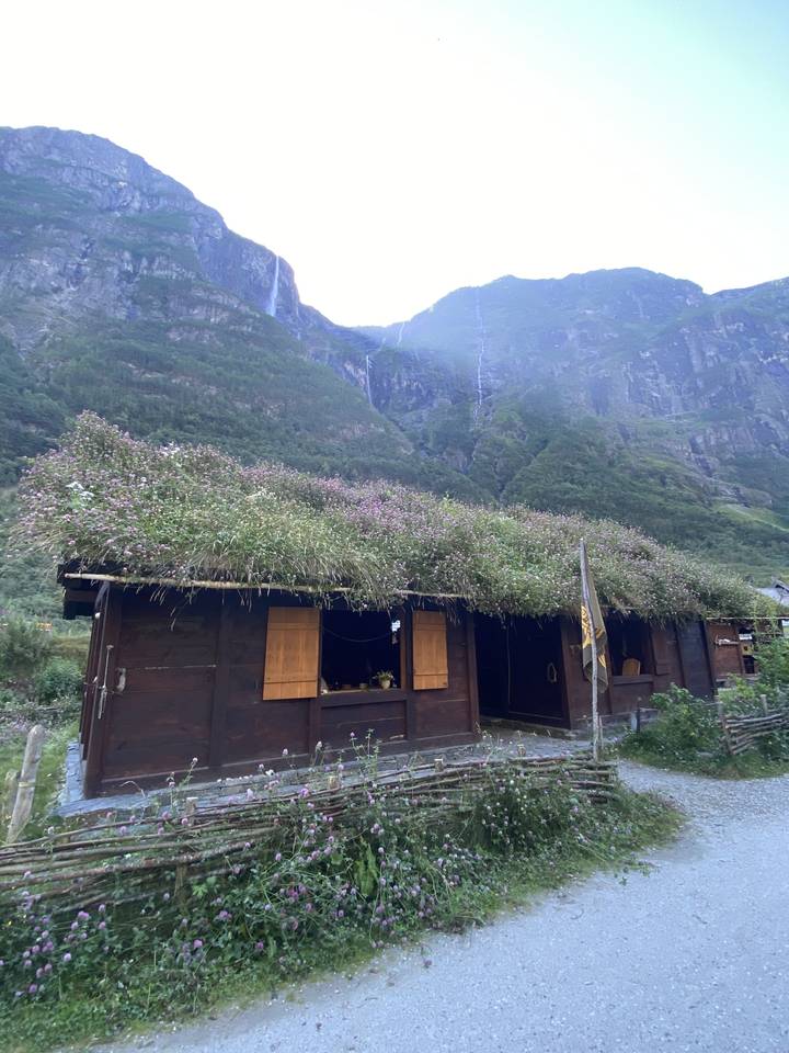 Maison rustique avec un toit vert entourée de montagnes.