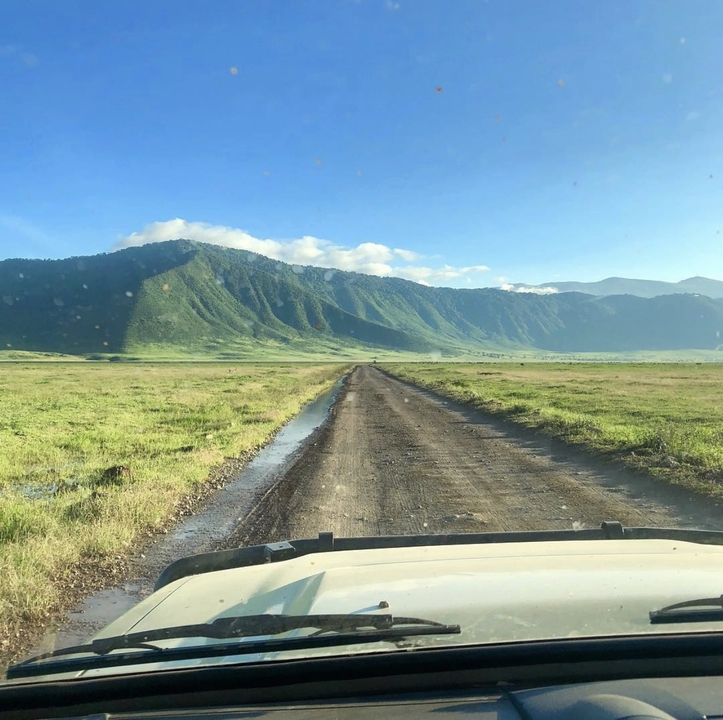 Un chemin de terre avec des collines verdoyantes sous un ciel bleu clair.
