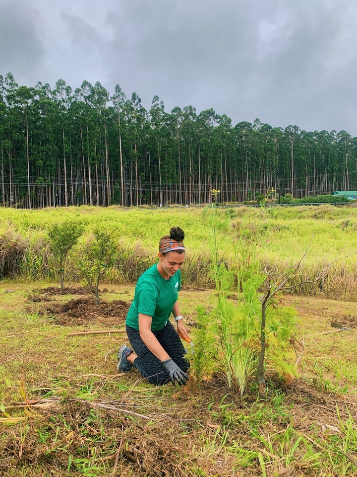 Personne qui jardine avec des arbres luxuriants en arrière-plan.