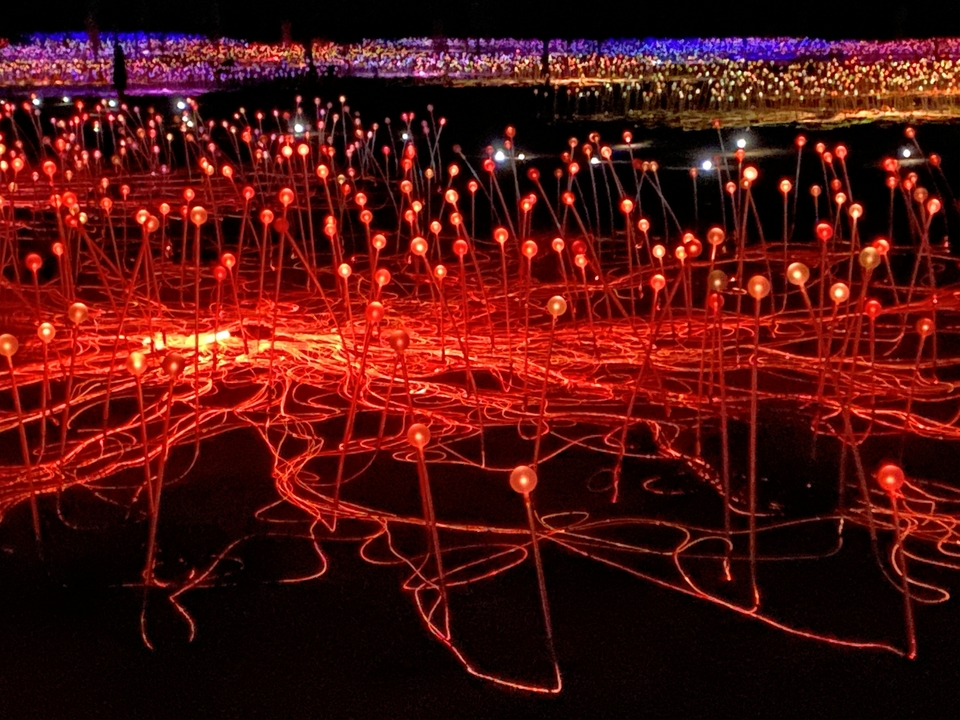 Campo de luces rojas iluminadas en la noche.