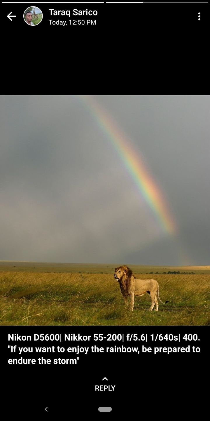 Faint rainbow arches through grey skies above a flat savannah plain