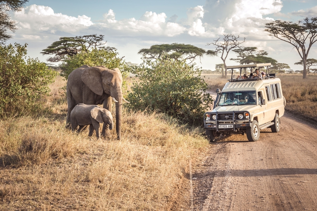 Elephant mother and calf browse beside a safari vehicle on a dusty savannah track under scattered clouds.