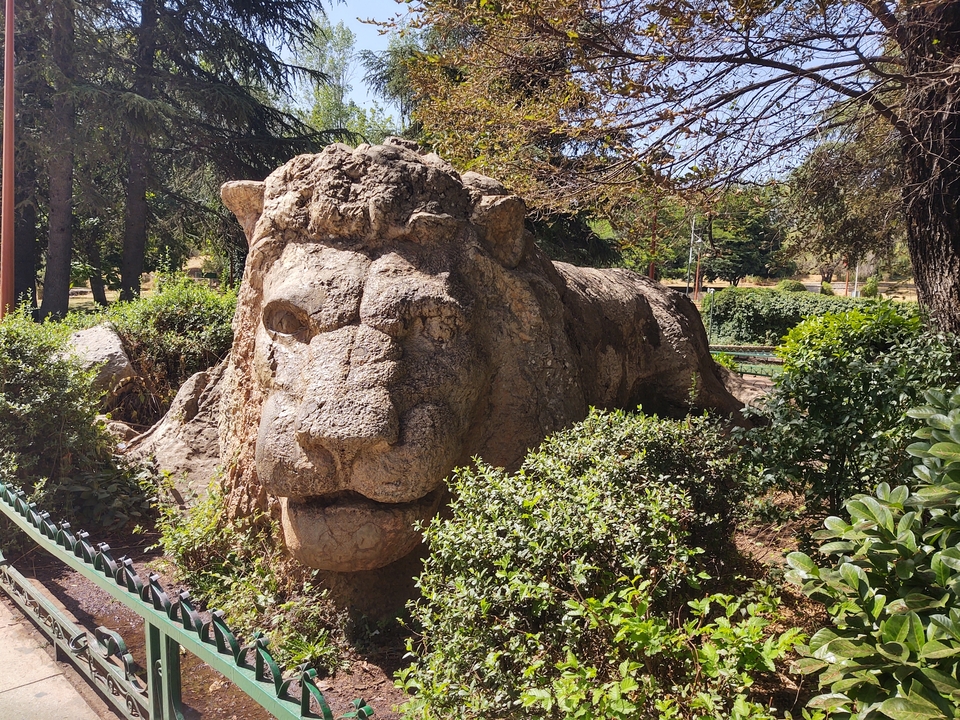 Sculpture en pierre d'un lion entouré d'arbres et de plantes.