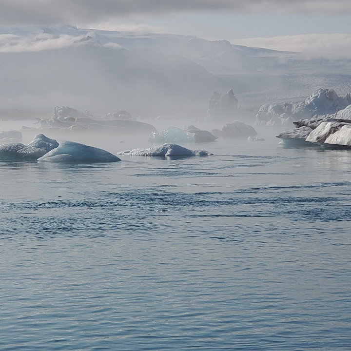 Icebergs flottant dans des eaux brumeuses.