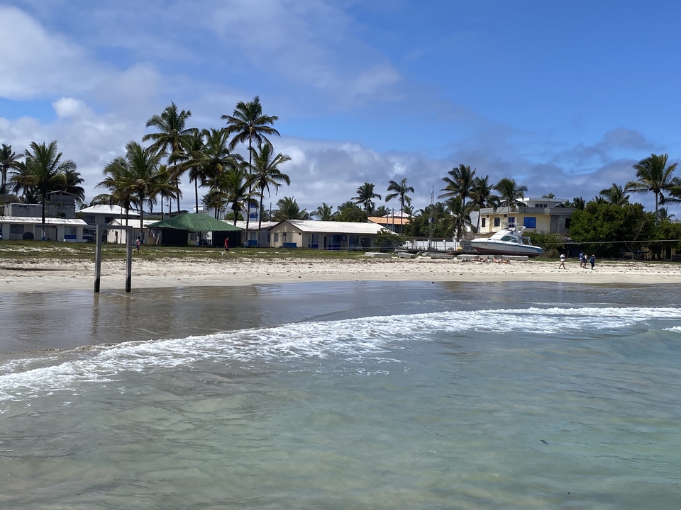 Plage avec des bâtiments éparpillés et des bateaux garés.