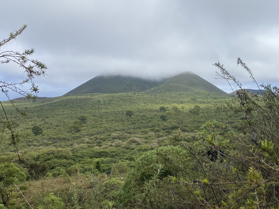 Vue brumeuse de collines volcaniques couvertes de verdure.