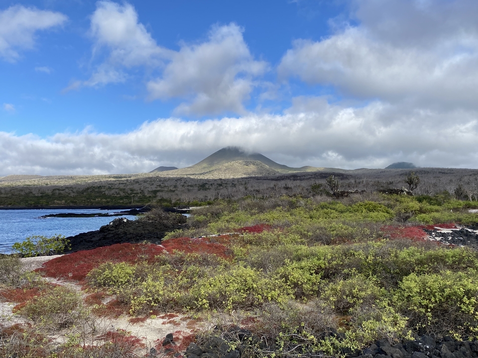 Vue panoramique d'un paysage volcanique avec une végétation colorée.