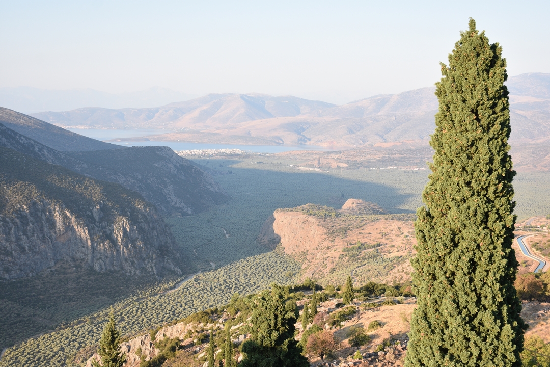 Sunny panoramic vista over Delphi valley with olive groves, lake and distant mountains