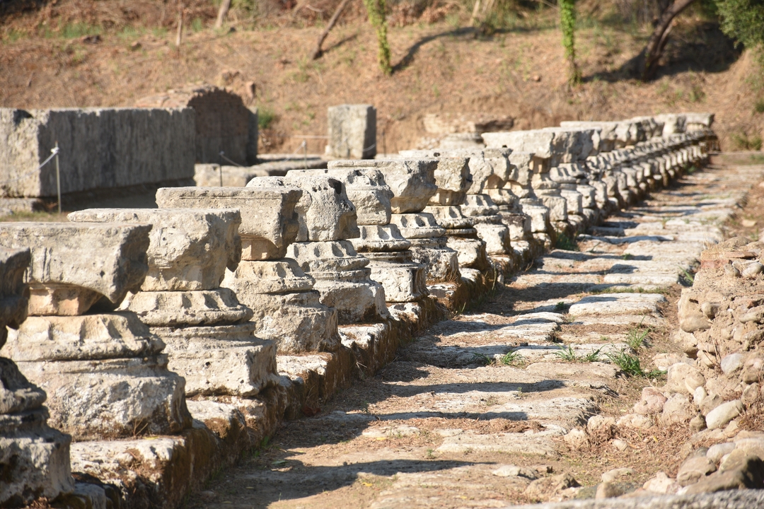 Row of weathered stone column bases from an ancient Greek sanctuary site