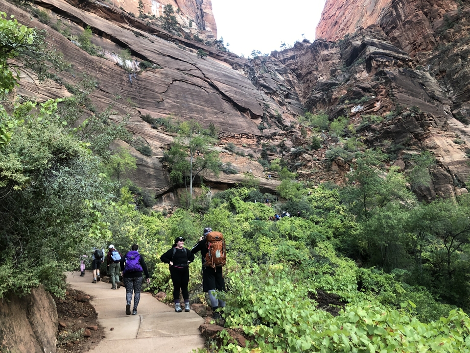 Des gens qui font de la randonnée sur un sentier entouré de hautes roches et de verdure.