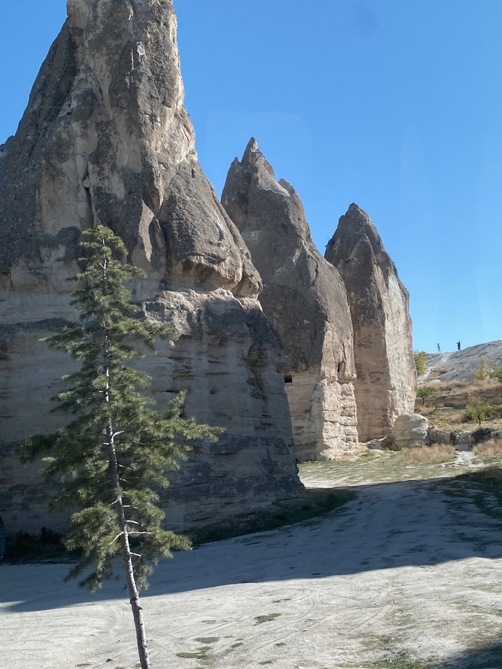 Hautes formations rocheuses avec un seul arbre.