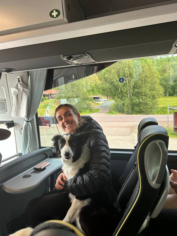 Person inside a vehicle with a dog.