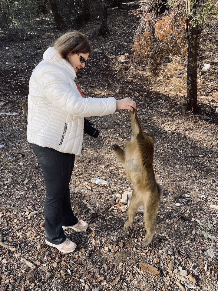 Femme nourrissant un singe dans une forêt.