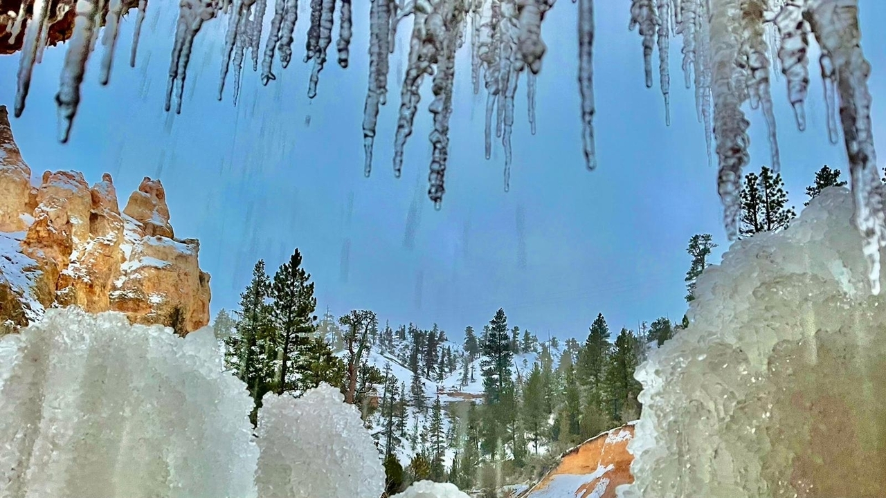 Stalactites de glace et neige dans un paysage de canyon forestier.