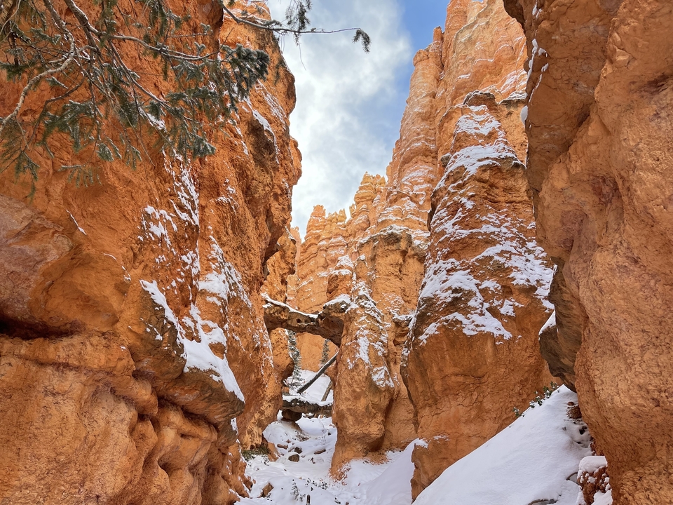 Canyon enneigé avec des formations rocheuses éclatantes.