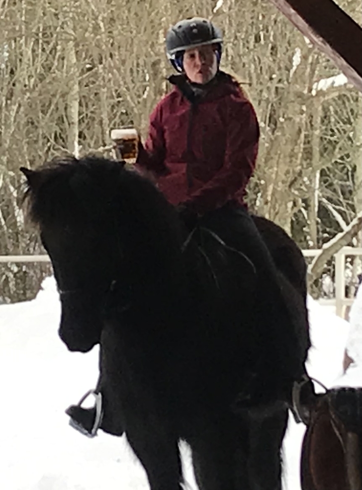 Person riding a black horse.
