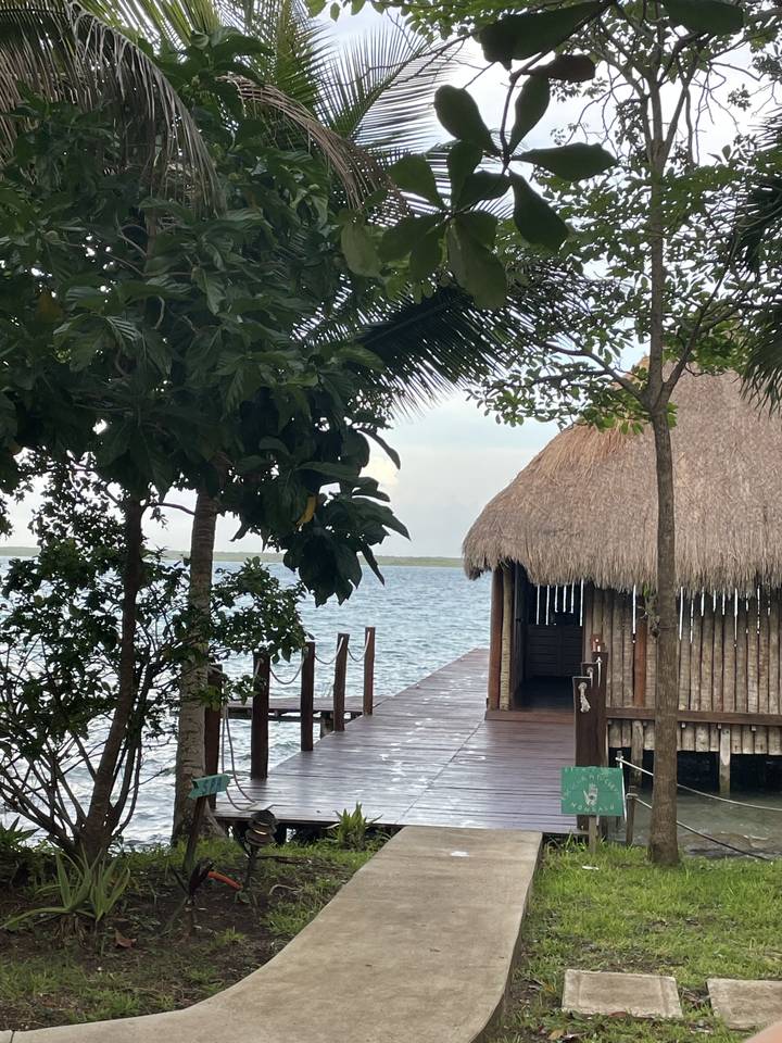 Cabane au bord de l'eau avec une végétation luxuriante.