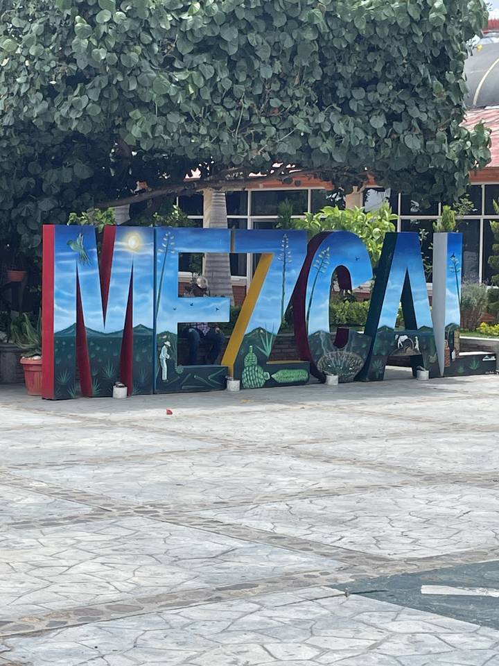 Panneau coloré au milieu d'une verdure luxuriante.