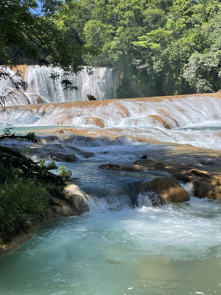 Cascade tombant dans un bassin entouré de feuillage.