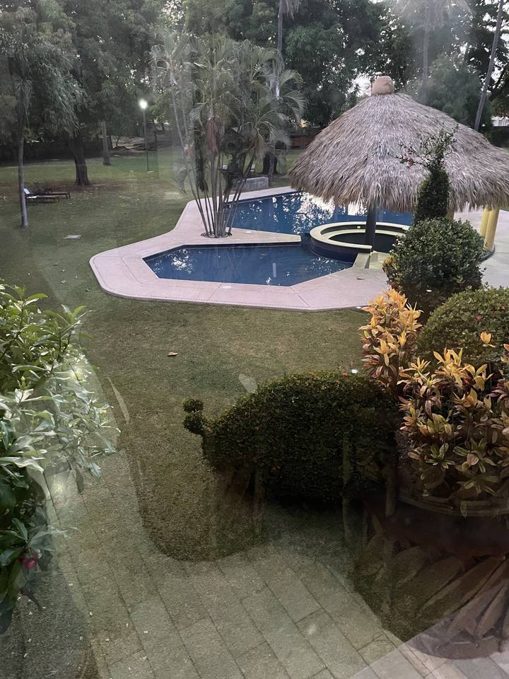 Zone de jardin avec piscine et cabane.