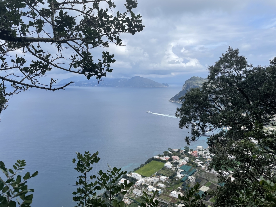 Une vue de l'océan et des falaises à travers les branches d'arbres.