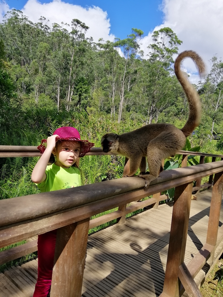 Enfant interagissant avec un lémurien sur une rambarde en bois.