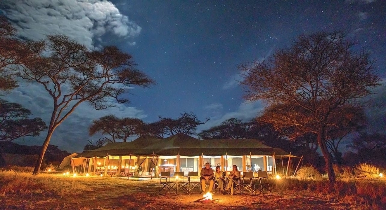 Des gens assis autour d'un feu de camp la nuit sous un ciel étoilé.