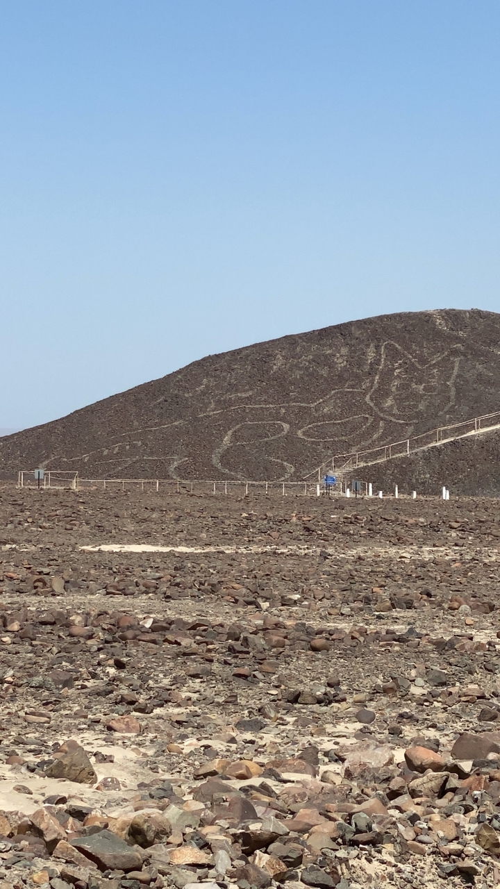 Géoglyphe d'un chat sur une colline dans le désert.