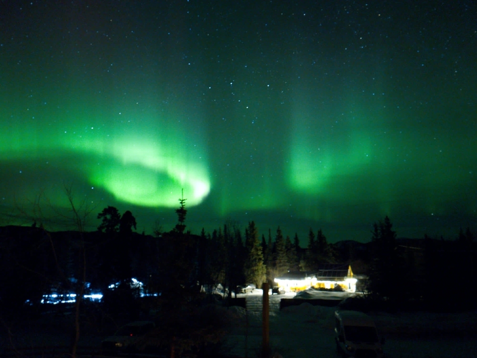 Aurores boréales dans le ciel nocturne au-dessus d'une zone forestière.