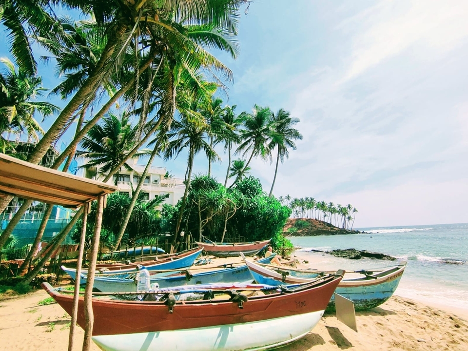 Colorful wooden fishing boats rest on a white–sand palm–fringed beach under bright tropical skies.
