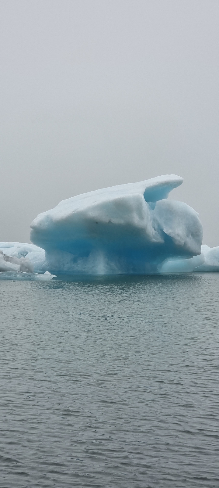 Un iceberg flottant dans une étendue d'eau.