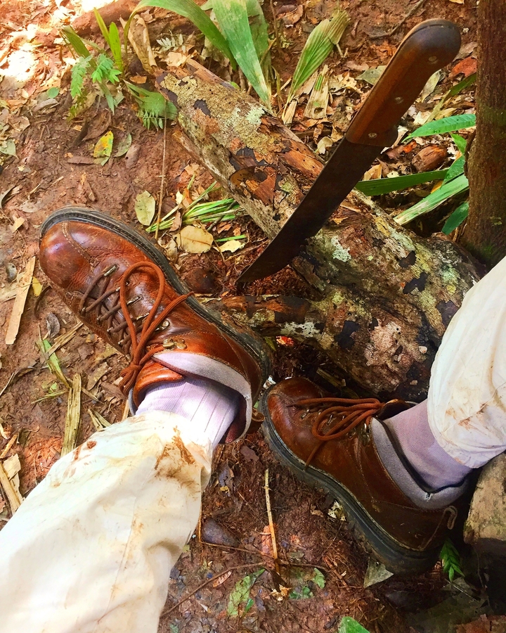 Gros plan de bottes sur un sentier de randonnée.