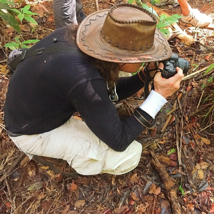 Personne explorant le sol forestier avec un appareil photo.
