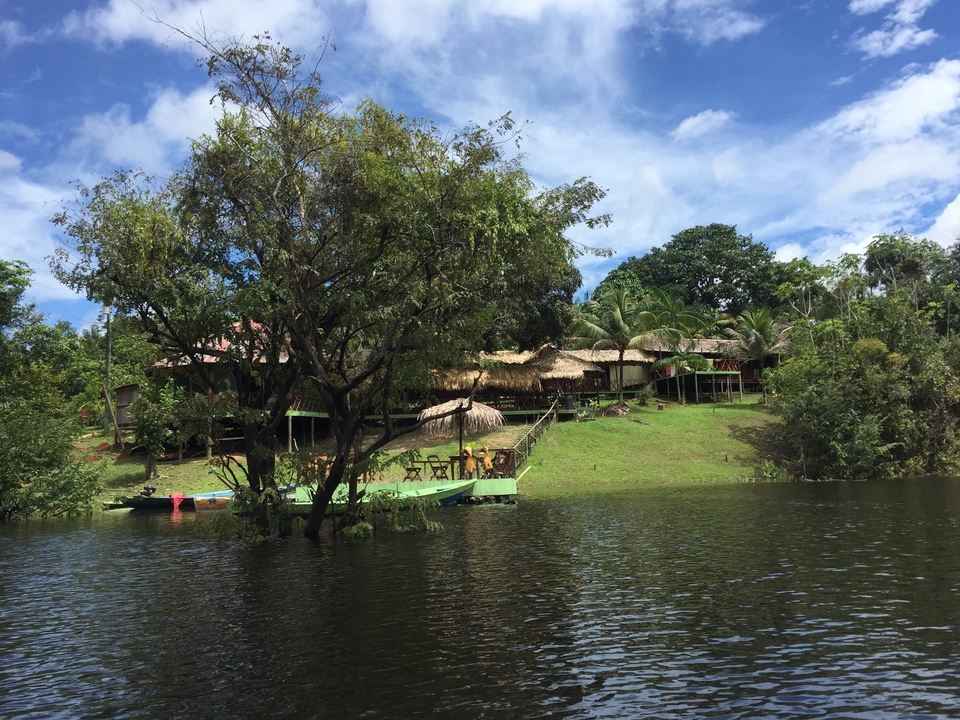 Chalets au bord du lac entourés d'arbres.