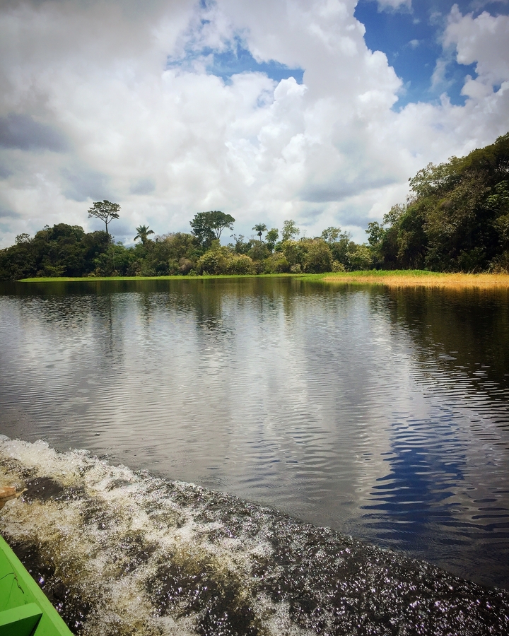 Paysage fluvial paisible avec une végétation luxuriante.