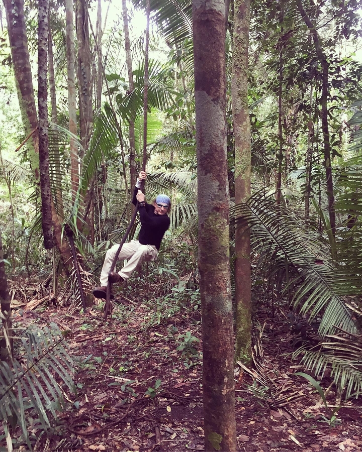 Personne se balançant sur des lianes dans une forêt.
