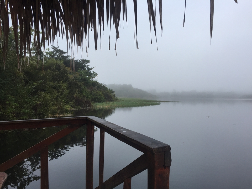 Berge brumeuse avec une terrasse en bois et de la verdure.